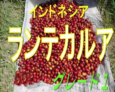 コーヒー豆 インドネシア ランテカルアG1 100gコーヒー 珈琲 Coffeeの