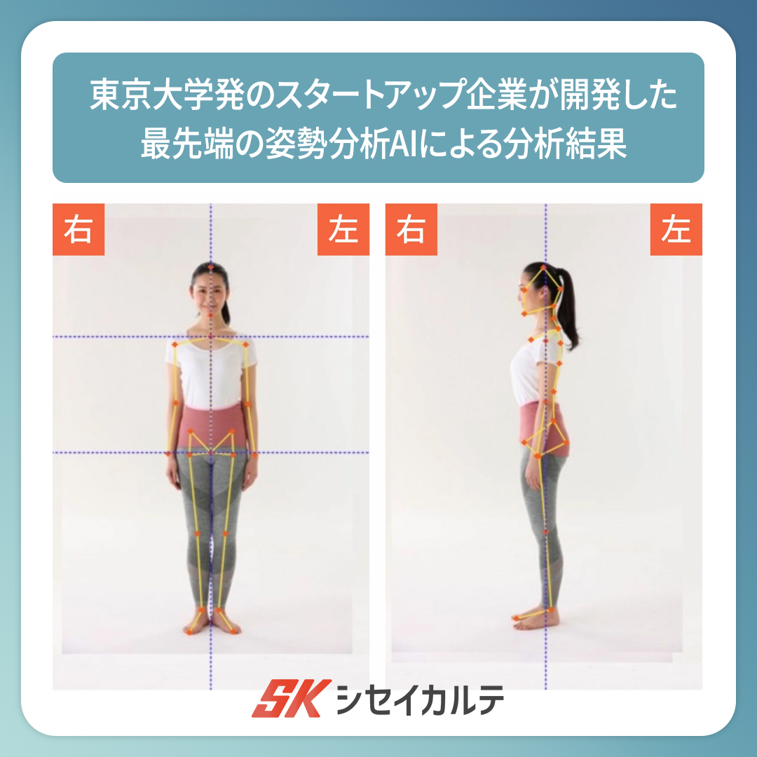 Fitto フィット ピントウェルネス ピーエーエス 2WAY 体幹サポーター 腹巻き 骨盤巻き 姿勢 動きやすい つけるだけ サポーター |  | 06