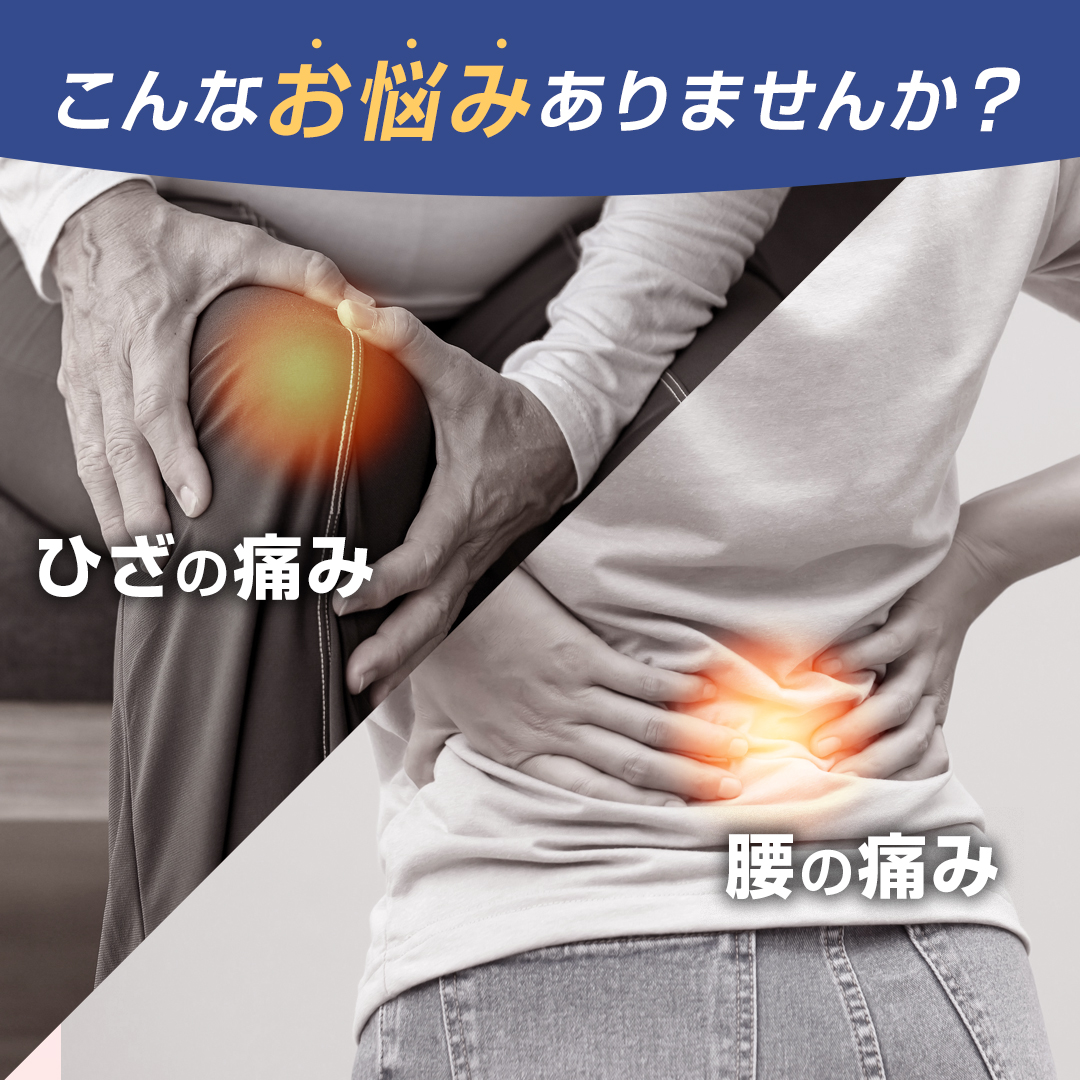 膝サポーター 腰サポーター 勝野式 トリプルX...の詳細画像1