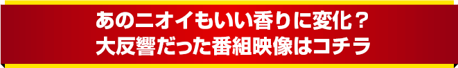 大反響だった番組映像はコチラ!