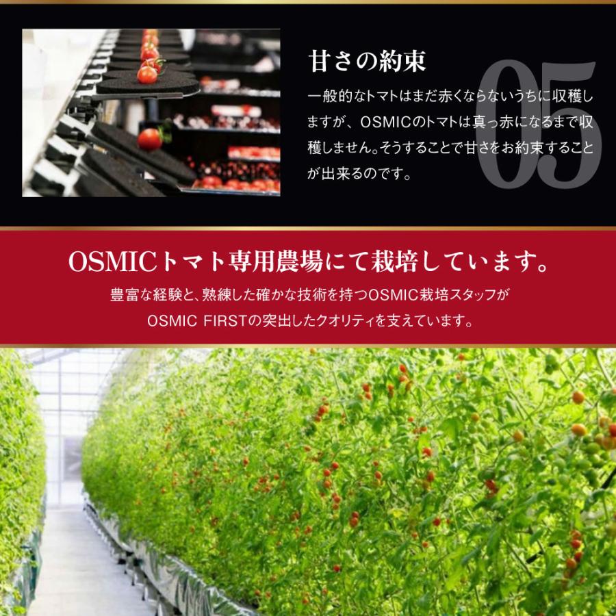 トマトグランプリ総合優勝 オスミックトマト OSMIC FIRST PRINCESS 120g×4箱 糖度11 国産 フルーツトマト 最高品質｜bakaure-onlineshop｜07