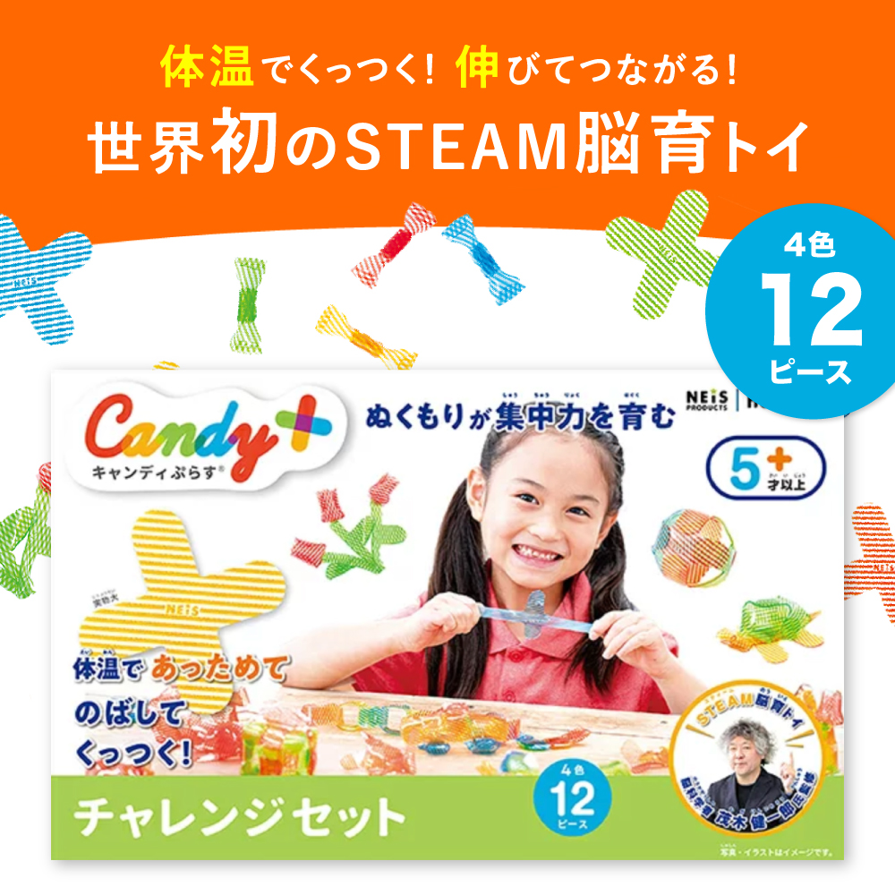 日本製 知育玩具 茂木健一郎監修 キャンディぷらす 12ピース 4色×各3 
