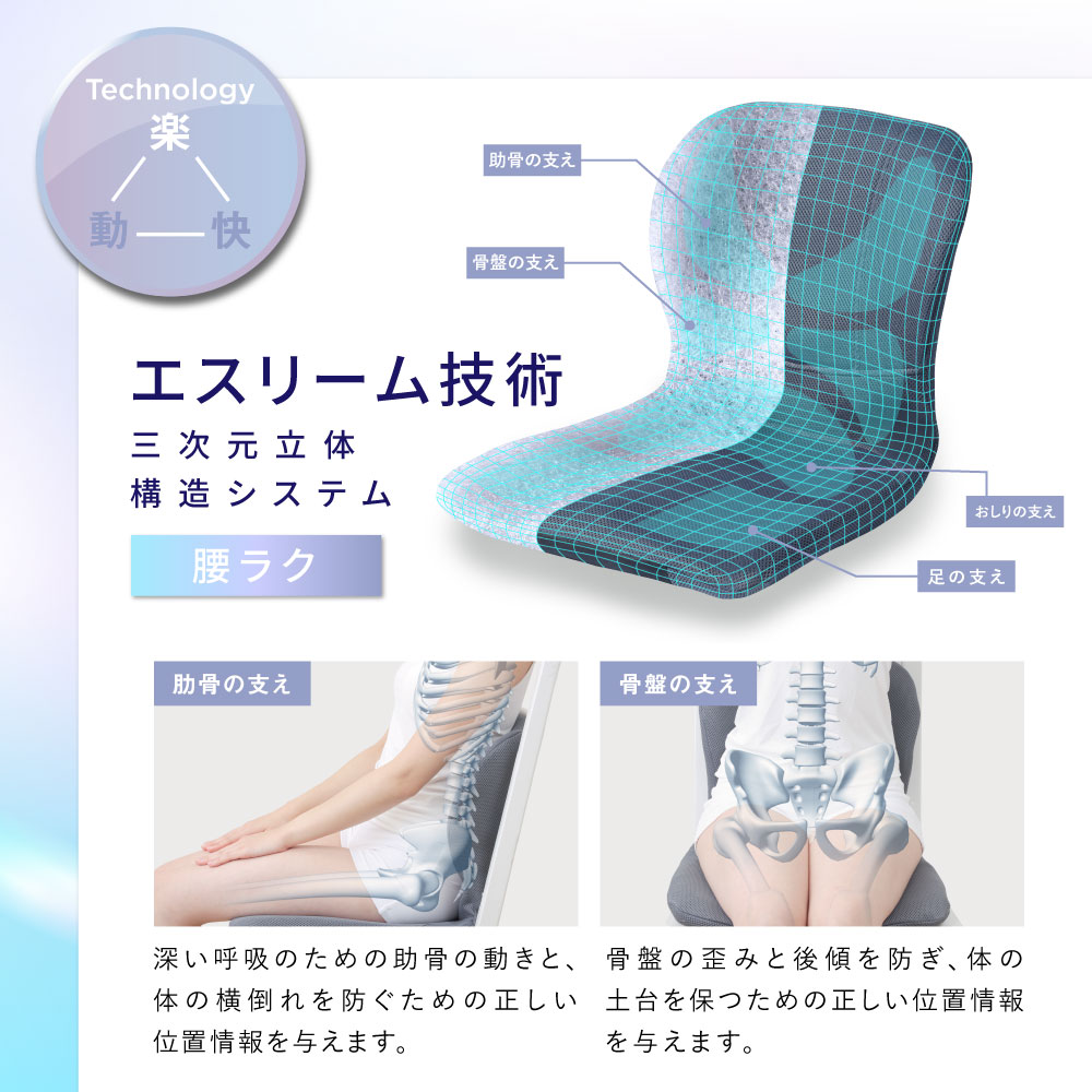 最新モデル pinto W ピント 日本製 骨盤 姿勢矯正 クッション 丸洗い可能 腰痛対策 姿勢 背もたれ |  | 03