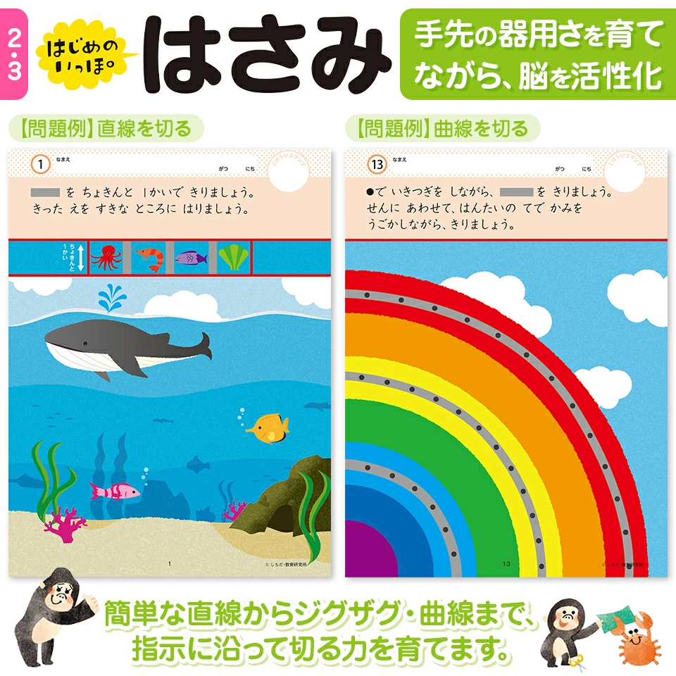 七田式取り組みガイド　2歳〜３歳 七田式 知力ドリル 2歳 3歳 10冊セット ドリル 幼児七田式 人気