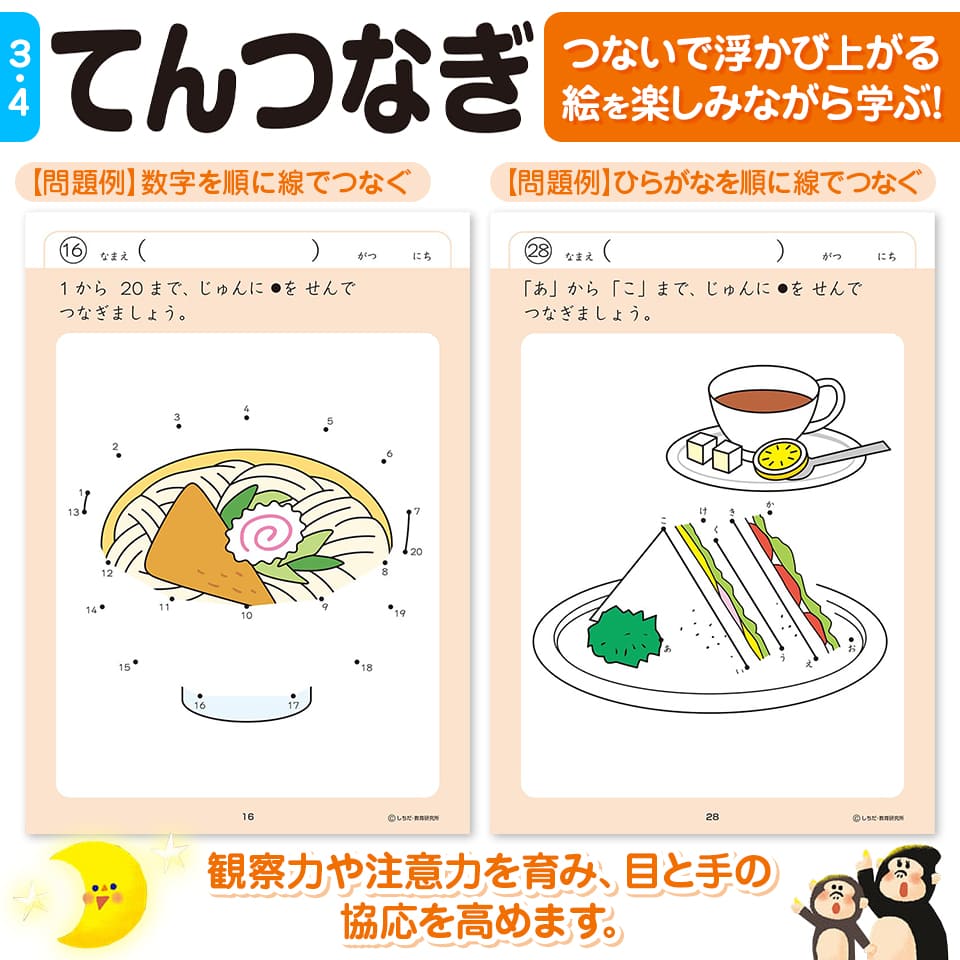 シルバーバック 七田式 知力ドリル 3歳 4歳 10冊セット ドリル 幼児