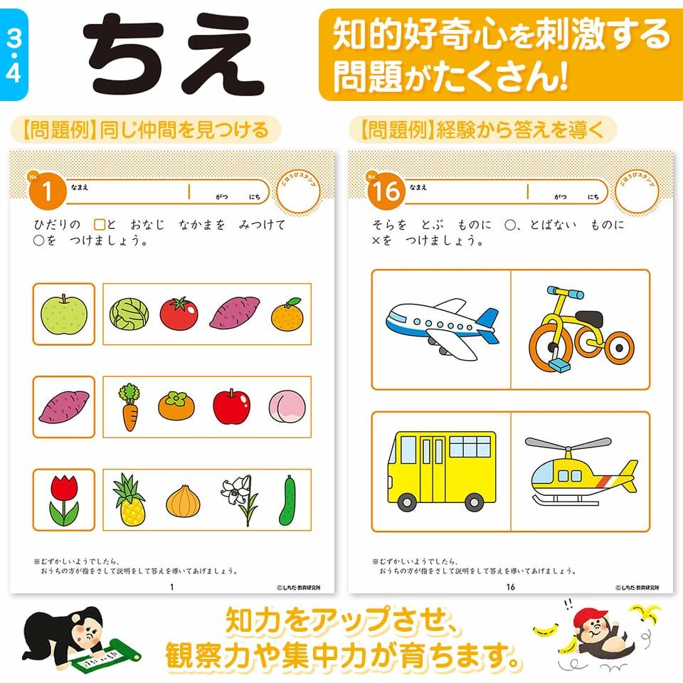 シルバーバック 七田式 知力ドリル 3歳 4歳 10冊セット ドリル 幼児
