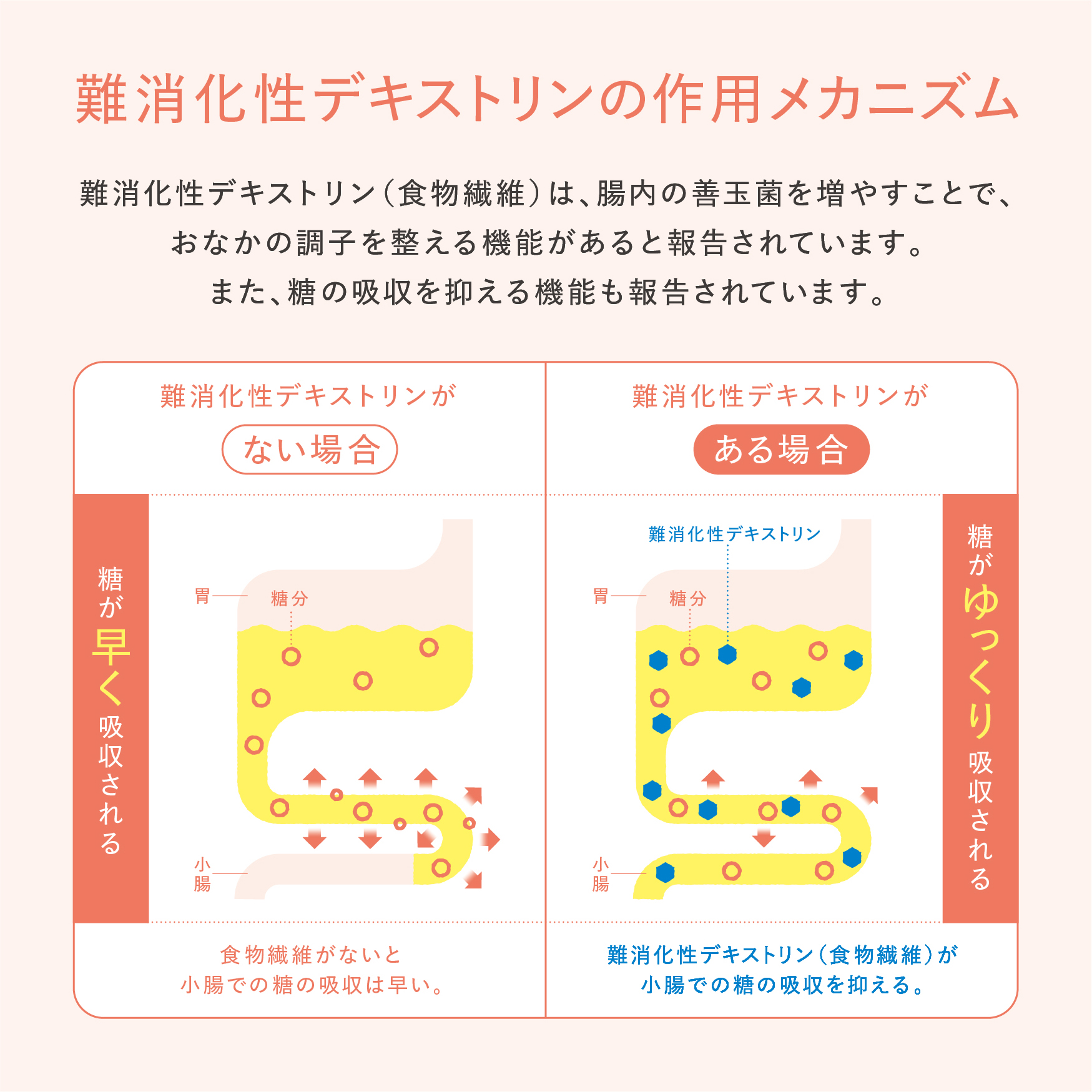 乳酸菌ドリンク マイフローラサラダ 【正規販売店】 6本セット(6週間分