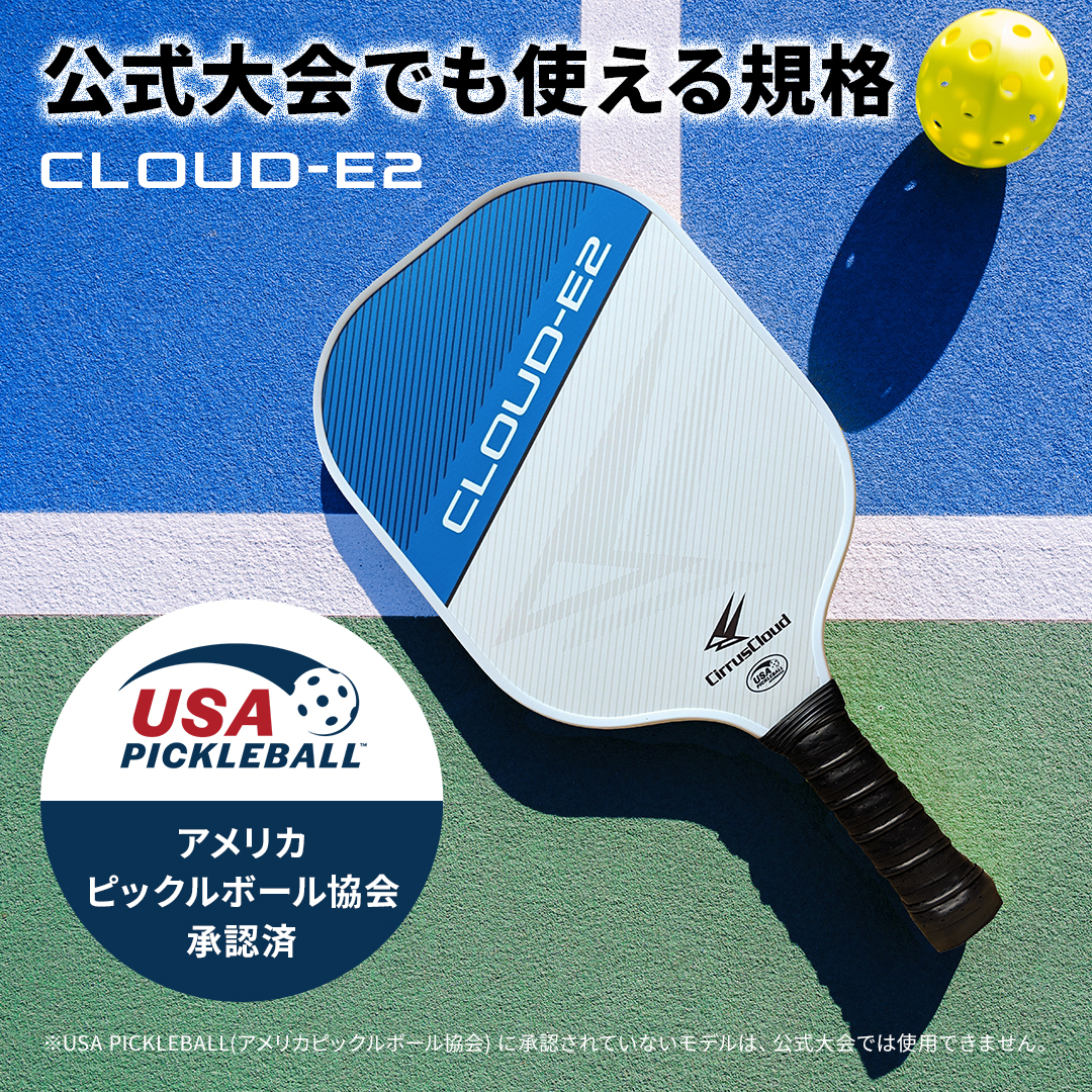 ピックルボール パドル 練習器具 ラケット 軽量 合同会社ピックル