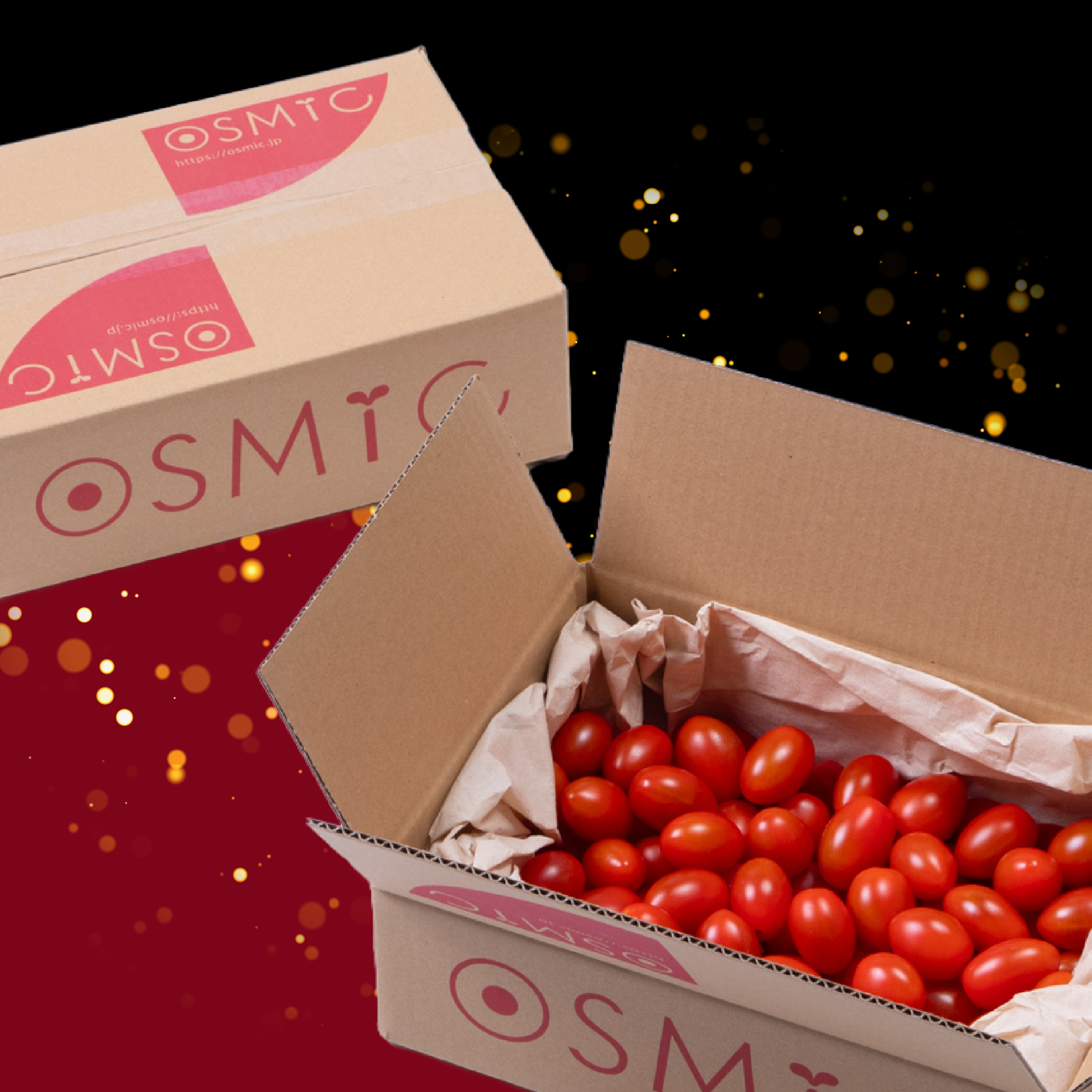 トマトグランプリ総合優勝 オスミックトマト OSMIC FIRST PRINCESS 2kg