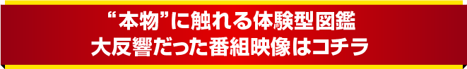 “ 本物”に触れる体験型図鑑 大反響だった番組映像はコチラ!