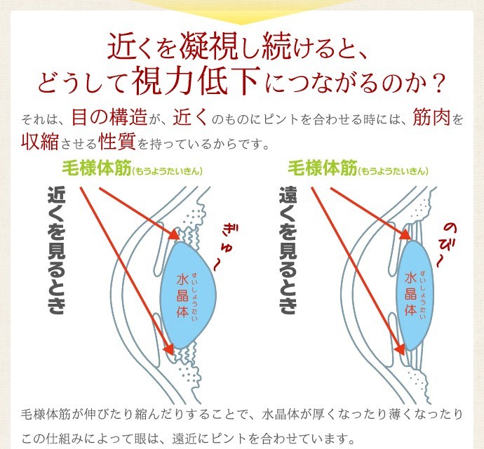 近くを凝視し続けると何で近視になるの？