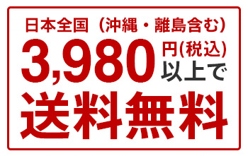 3,980円以上で送料無料