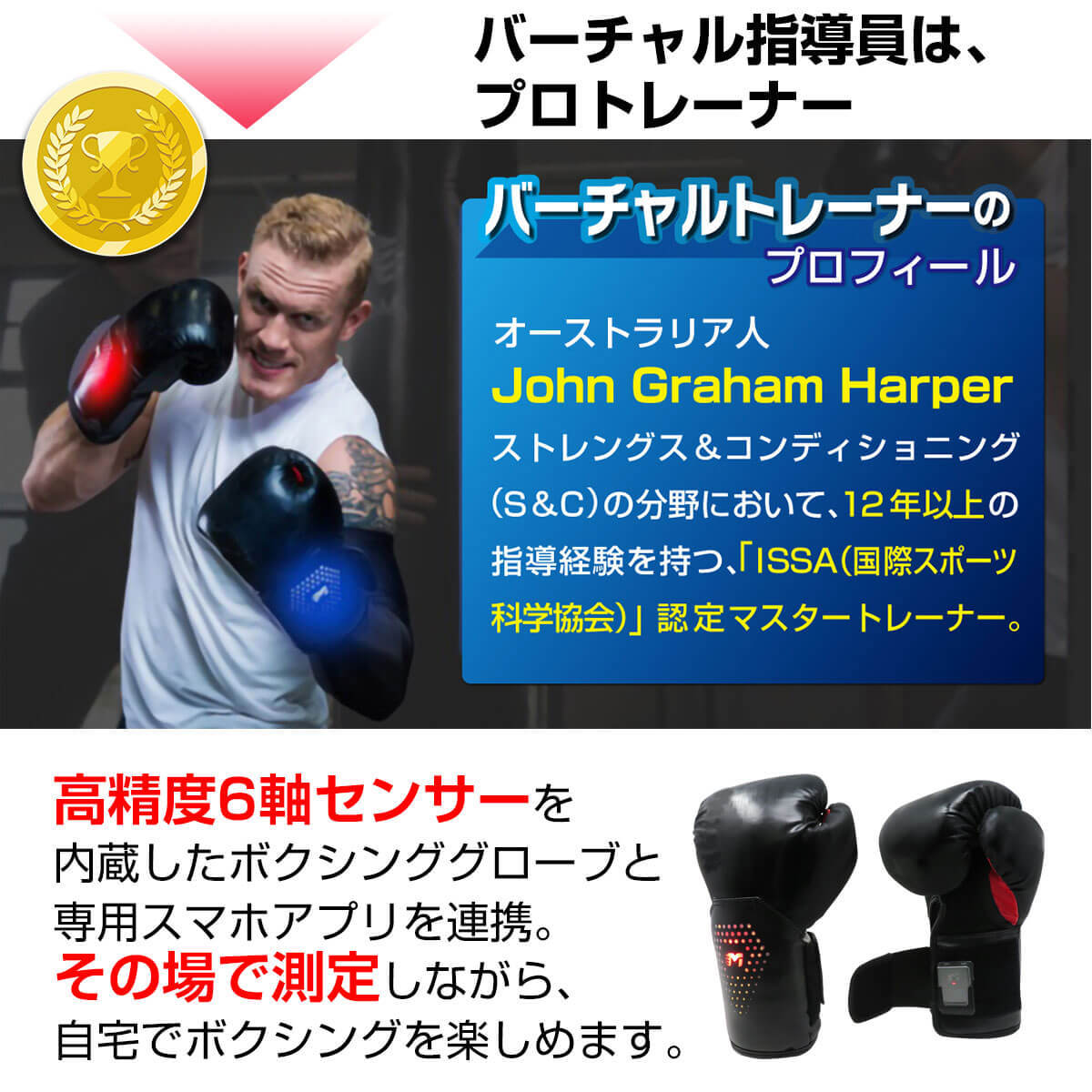 魅力的な価格 家族 器具 トレーニング 筋トレ ダイエット 運動 解消 メタボ ボクササイズ用品 ボクシング用品 キックボクシング バーチャルボクサー シャドーボクシング 自宅 ボクササイズ ボクシンググローブ ダイエット器具 Cooesan Com