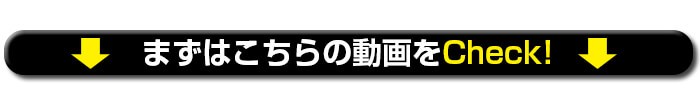 まずは映像をご覧ください