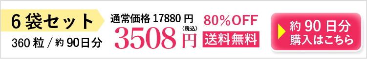 6袋3508円