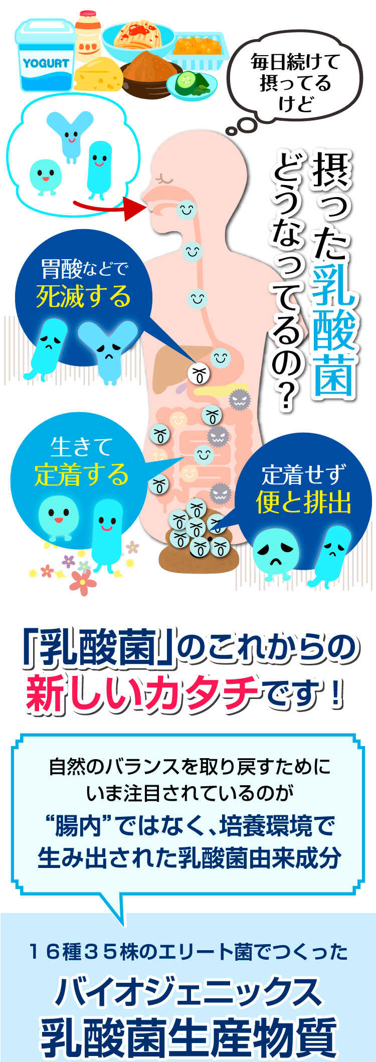 送料無料】善玉菌プレミアム（30粒入）【1日1粒×約1ヶ月分】善玉菌