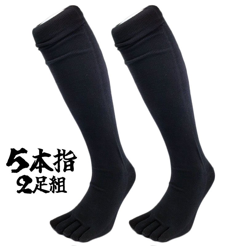 MIZUNO（ミズノ） 野球ソックス ベースボール 5本指ソックス 2足組 25 