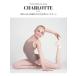 バレエ レオタード 子供 ジュニア 大人 レディース Grishko グリシコ CHARLOTTE メッシュ ノースリーブ DAD1930M DAD1930MP DA1930MP 2枚までメール便可 関連画像1