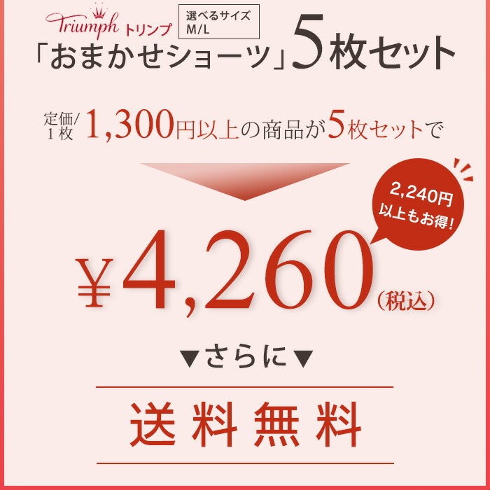 トリンプ　ショーツ　Lサイズ　5点セット ニッセン ブラ＆ショーツセット (E100/4L-F110/5L) 大きいサイズ