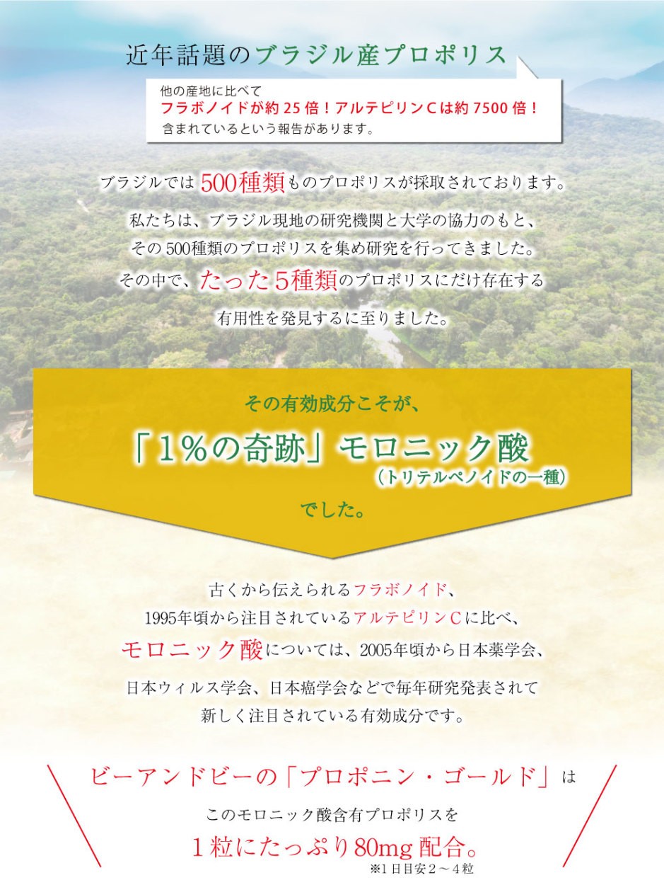 近年話題のブラジル産プロポリスは他の産地に比べてフラボノイドが約25倍、アルテピリンCは約7500倍含まれているという報告があります。　ブラジルでは500種類ものプロポリスが採取されております。私たちは、ブラジル現地の研究機関と大学の協力のもと、その500種類のプロポリスを集め研究を行ってきました。その中で、たった５種類のプロポリスだけ存在する有用性を発見するに至りました。その有効成分こそが、「1%の奇跡」モロニック酸（トリテルペノイドの一種）でした。モロニック酸については、2005年頃から日本薬学会、日本ウイルス学会、日本癌学会などで毎年研究発表されて新しく注目されている有効成分です。　ビーアンドビーの「プロポニン・ゴールド」はこのモロニック酸含有プロポリスを１粒にたっぷり80mg配合！（※１日目安２〜４粒）