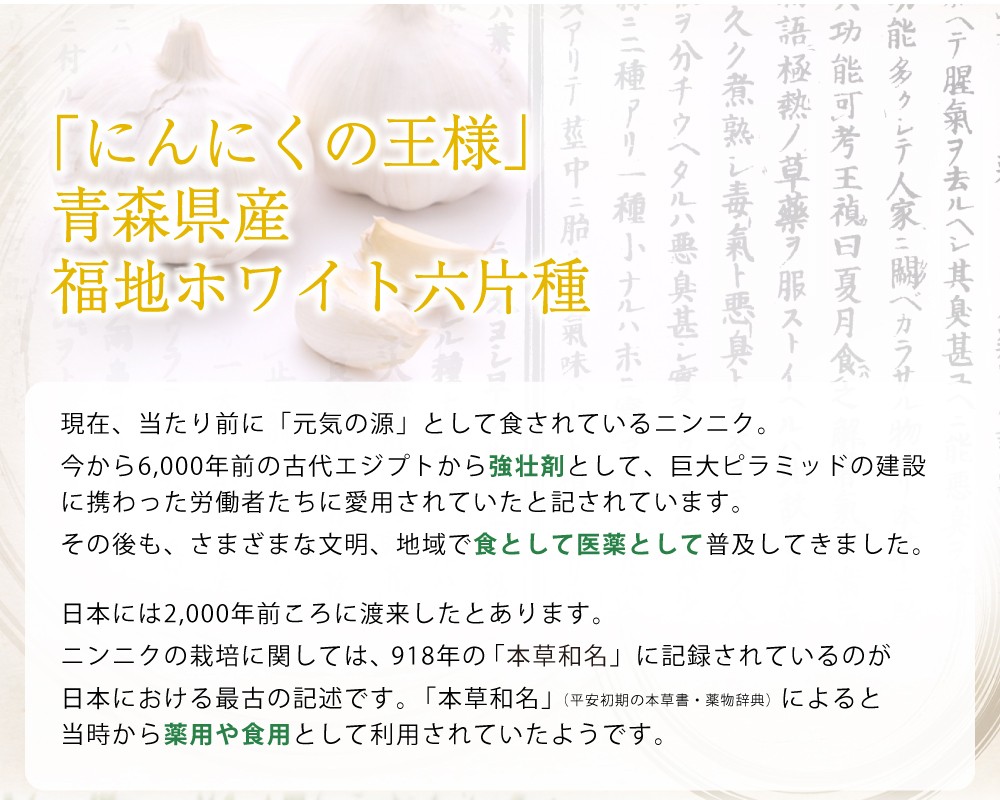 さらに！にんにくの王様青森産福地ホワイト六片種を使用。　現在、当たり前に「元気の源」として食されているニンニク。今から6,000年前の古代エジプトから強壮剤として、巨大ピラミッドの建設に携わった労働者たちに愛用されていたと記されています。その後も、さまざまな文明、地域で食として医薬として普及してきました。日本には2,000年前ころに渡来したとあります。ニンニクの栽培に関しては、918年の「本草和名」に記録されているのが日本における最古の記述です。「本草和名」（平安初期の本草書・薬物辞典）によると当時から薬用や食用として利用されていたようです。