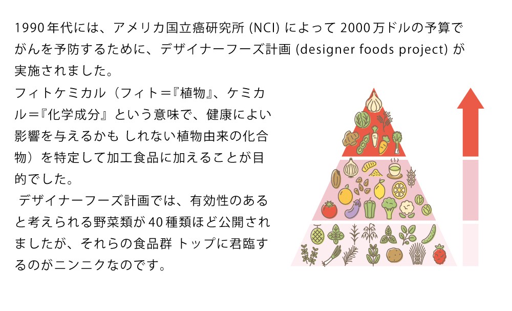 1990年代には、アメリカ国立癌研究所 (NCI) によって2000万ドルの 予算でがんを予防するために、デザイナーフーズ計画 (designer foods project) が実施されました。フィトケミカル（フィト＝『植物』、ケミカル＝『化学成分』という意味で、健康によい影響を与えるかも しれない植物由来の化合物）を特定して加工食品に加えることが目的でした。デザイナーフーズ計画では、有効性のあると考えられる野菜類が40種類ほど公開されましたが、それらの食品群 トップに君臨するのがニンニクなのです。