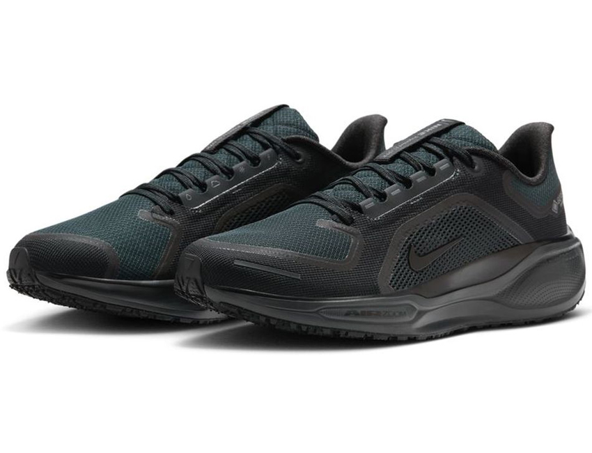 NIKE（ナイキ） 男性 メンズ シューズ AIR ZOOM PEGASUS 41 GTX エア