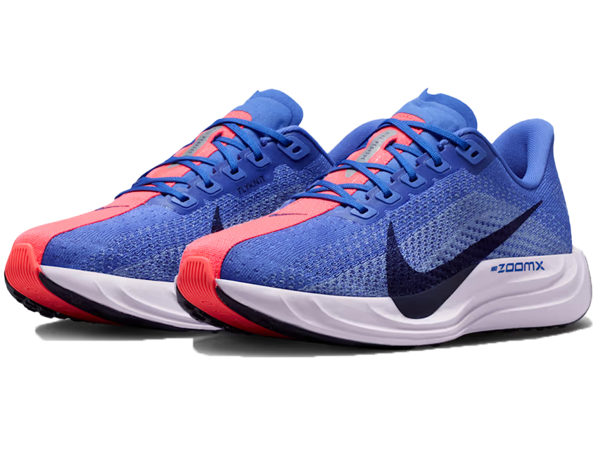 NIKE（ナイキ） 女性 レディース シューズ W PEGASUS PLUS ウィメンズ