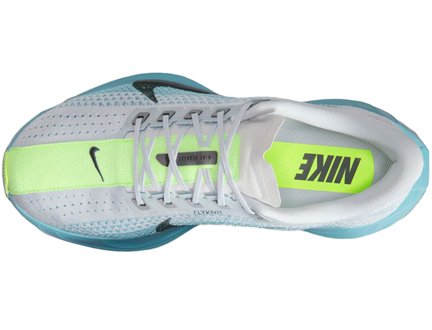 NIKE（ナイキ） 男性 メンズ シューズ PEGASUS PLUS ペガサス プラス