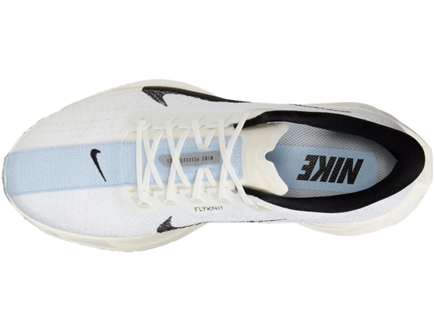 NIKE（ナイキ） 男性 メンズ シューズ PEGASUS PLUS ペガサス プラス