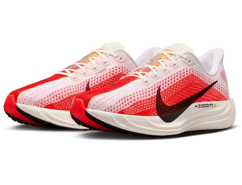 NIKE（ナイキ） 男性 メンズ シューズ PEGASUS PLUS ペガサス プラス