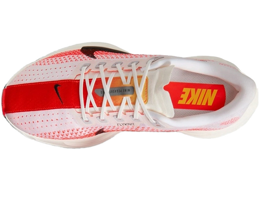 NIKE（ナイキ） 男性 メンズ シューズ PEGASUS PLUS ペガサス プラス