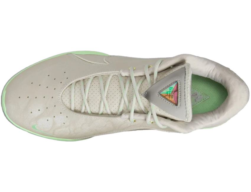 NIKE 男性 ナイキ メンズ シューズ LEBRON XXII EP レブロン 22