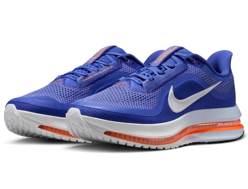 NIKE（ナイキ） 男性 メンズ シューズ PEGASUS PREMIUM ペガサス