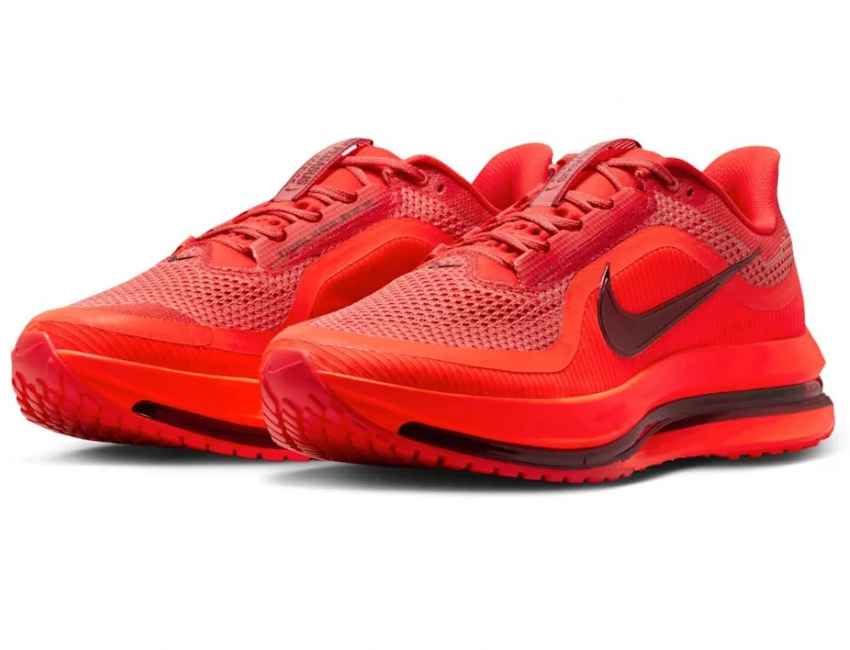 NIKE（ナイキ） 男性 メンズ シューズ PEGASUS PREMIUM ペガサス
