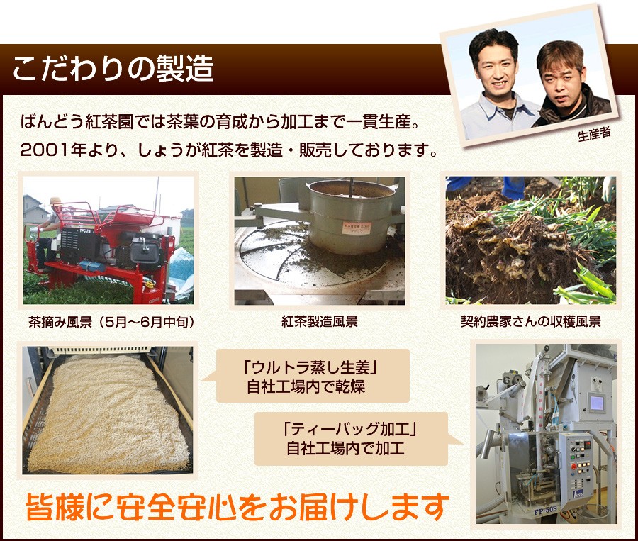 ◆山本漢方 マテ茶100% 2.5g  x 20包