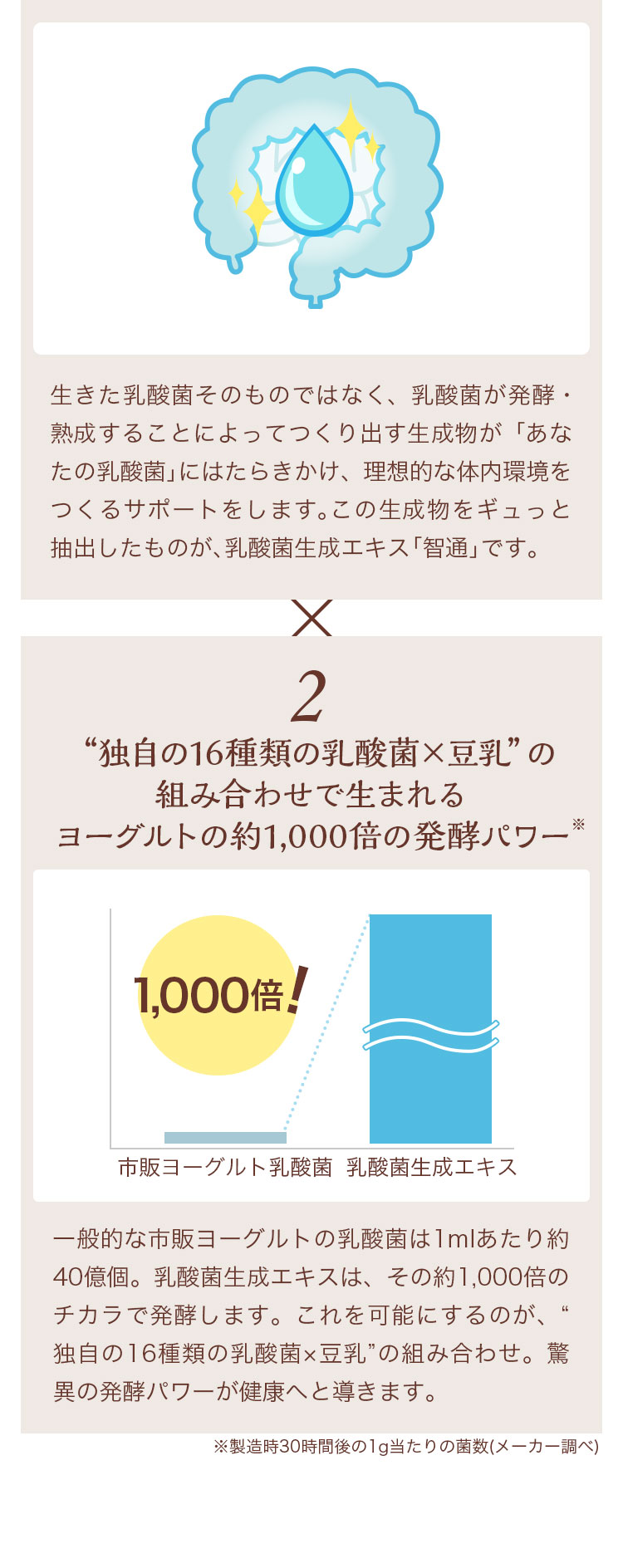 公式 乳酸菌生成エキス 智通 原液タイプ 10ml×6本 約1ヶ月分