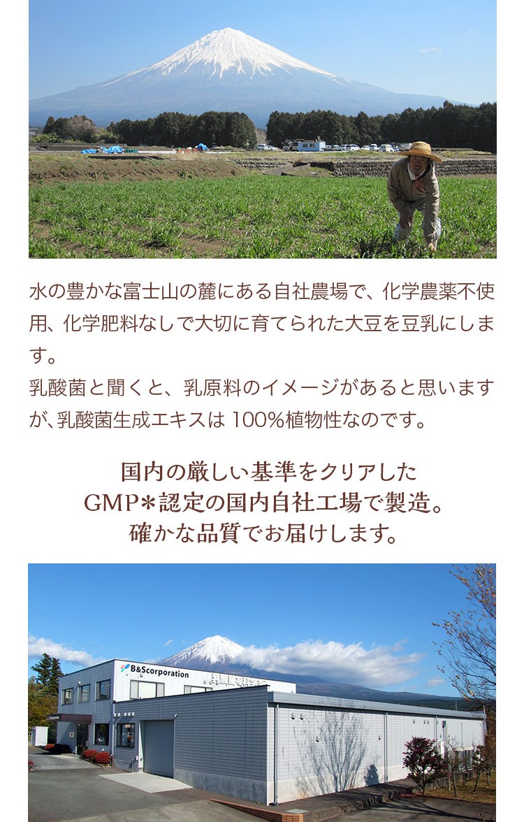 公式 乳酸菌生成エキス 智通 原液タイプ 10ml×30本 約5ヶ月分 公式 乳酸菌生成エキス 智通 原液タイプ 10ml×30本 約5ヶ月分