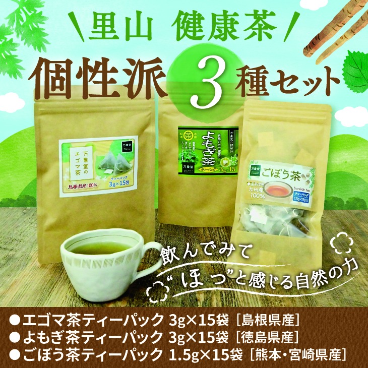 国産100% みんと緑茶 ティーパック 3g×5包×6袋セット workaround.pt