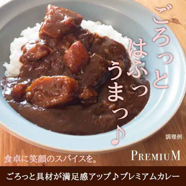 ご飯のお供 ごろっと具材のPREMIUMビーフカレー 4袋 得トクセール ポイント消化 食品 お試し 通販 レトルト 1000円 ポッキリ ぽっきり  送料無料 :gorotto-curry4:どんまい生活館 - 通販 - Yahoo!ショッピング