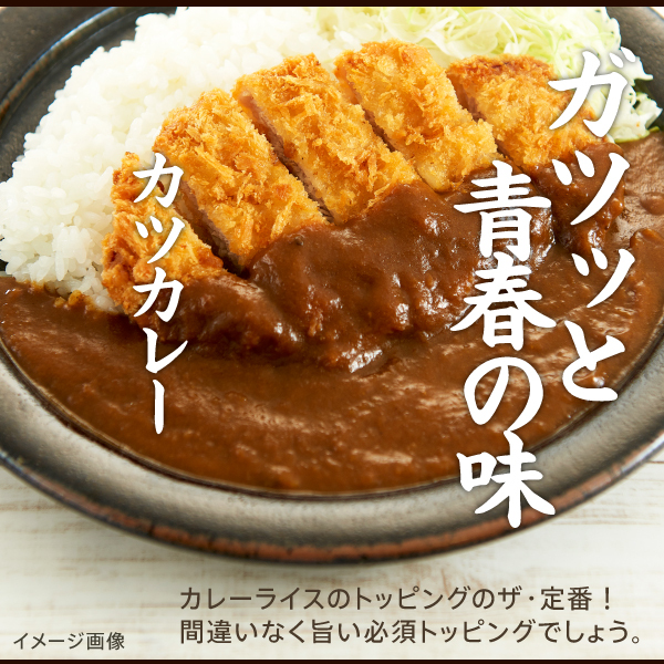 ご飯のお供 ごろっと具材のPREMIUMビーフカレー 4袋 得トクセール ポイント消化 食品 お試し 通販 レトルト 1000円 ポッキリ ぽっきり  送料無料 :gorotto-curry4:どんまい生活館 - 通販 - Yahoo!ショッピング