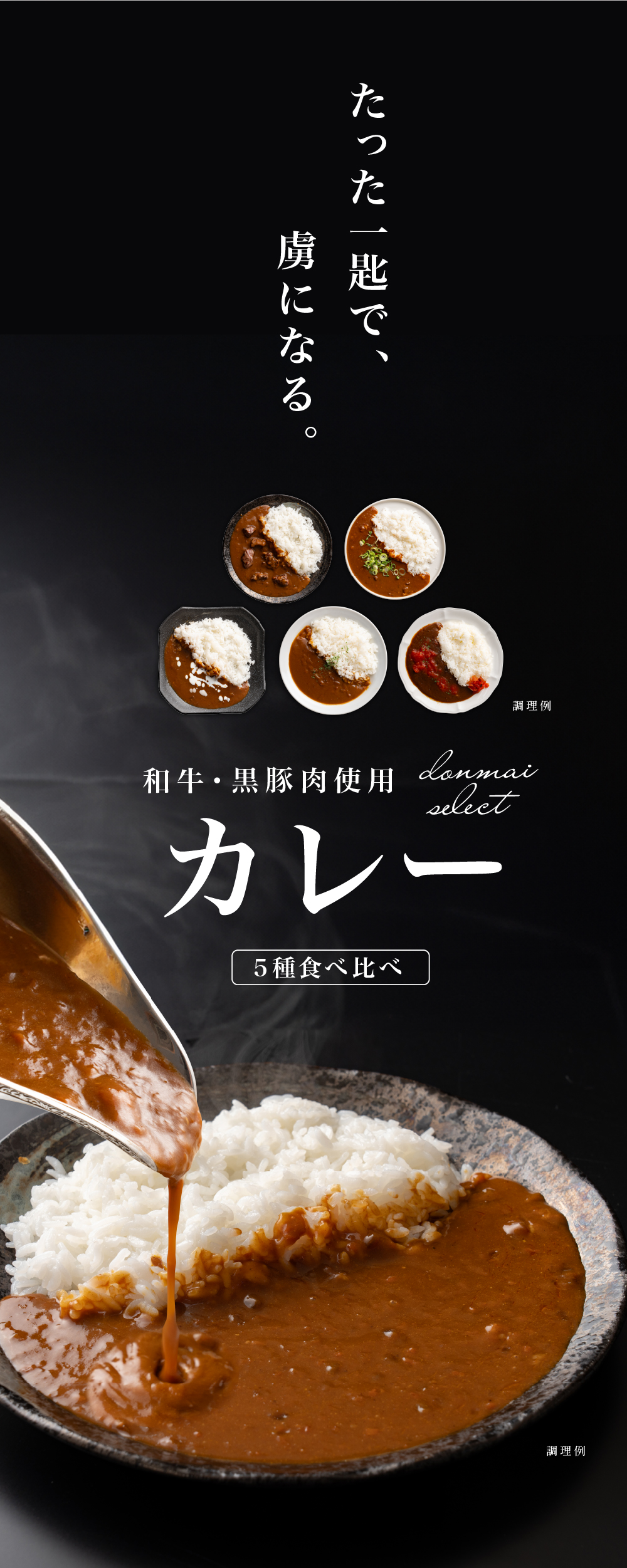 Amazon | レトルトカレー 黒毛和牛 極とろカレー 中辛 200g 10