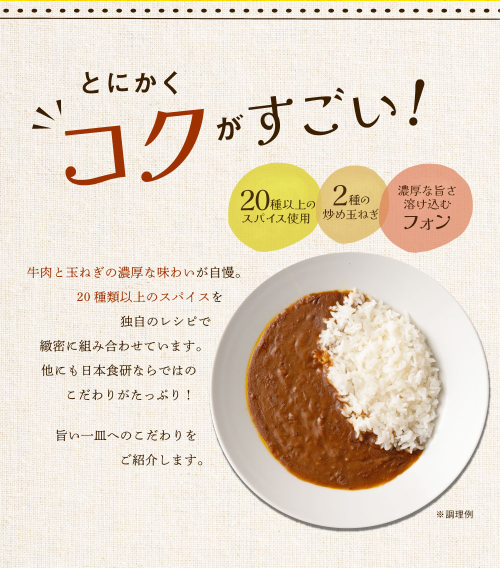 送料無料 食研カレー 4食(200g×4) 食品 グルメ 防災食 中辛 日本食研