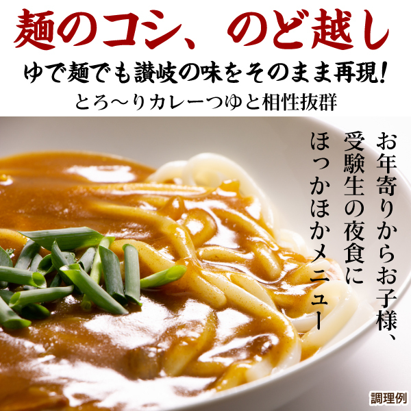 うどん 讃岐うどん 讃岐のカレーうどん1食 カレーソース付 送料無料