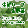 生鮮ハーブ＆野菜