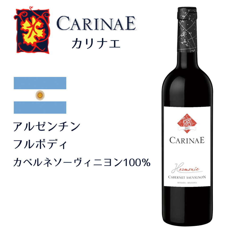 開催中開催中ワイン4本セット アルゼンチン ワイン DON BOSCO CARINAE 赤白 ワインセット ワイン