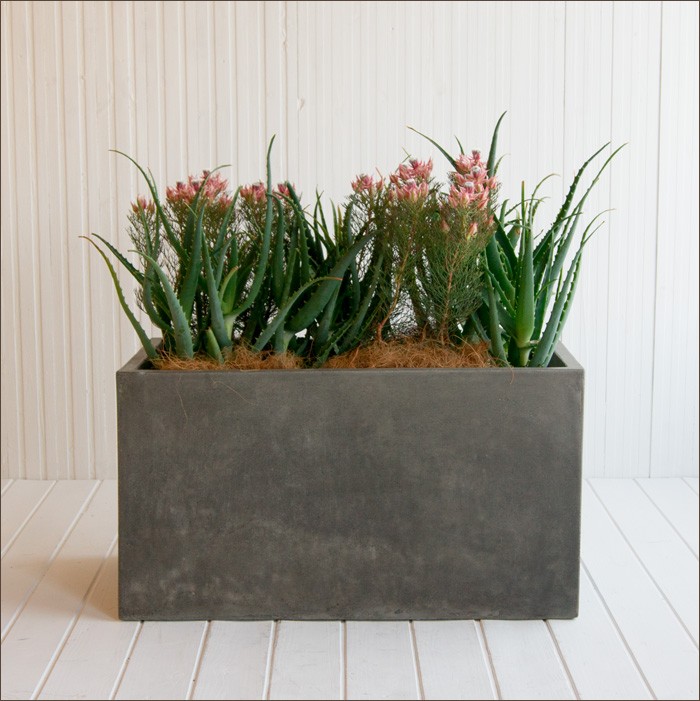 植木鉢 大型プランター コンクア 01 レクト 70 : 植木鉢 植木鉢 大型プランター コンクア 01 レクト 70 : 植木鉢