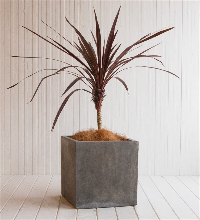 西濃出荷】コンクア 02 キューブ 45 植木鉢 大型プランター : 植木鉢