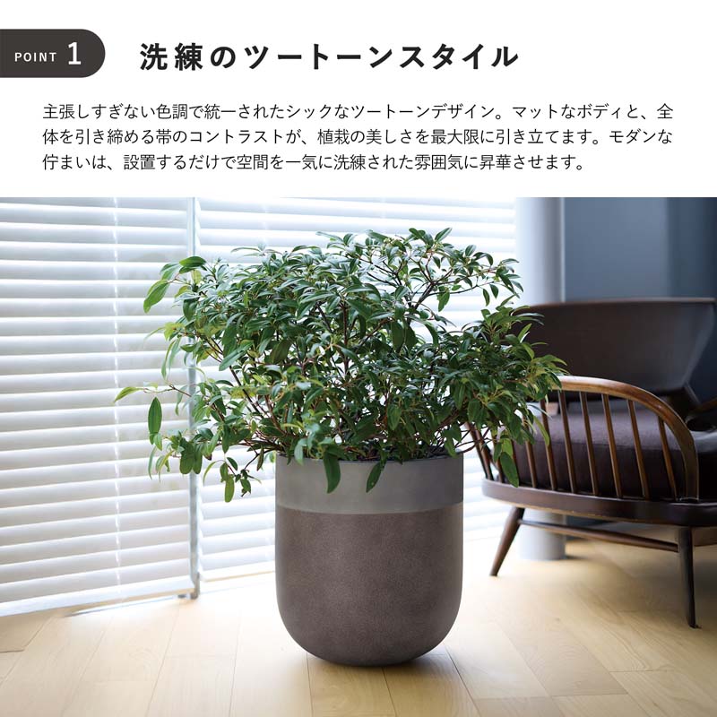 fs-203_point01.jpg?size=n