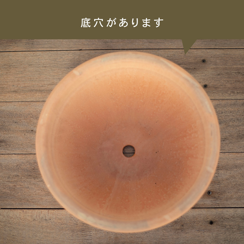 植木鉢 テラコッタ シクラミーノ アリーナ 11号 : 植木鉢・テラコッタ